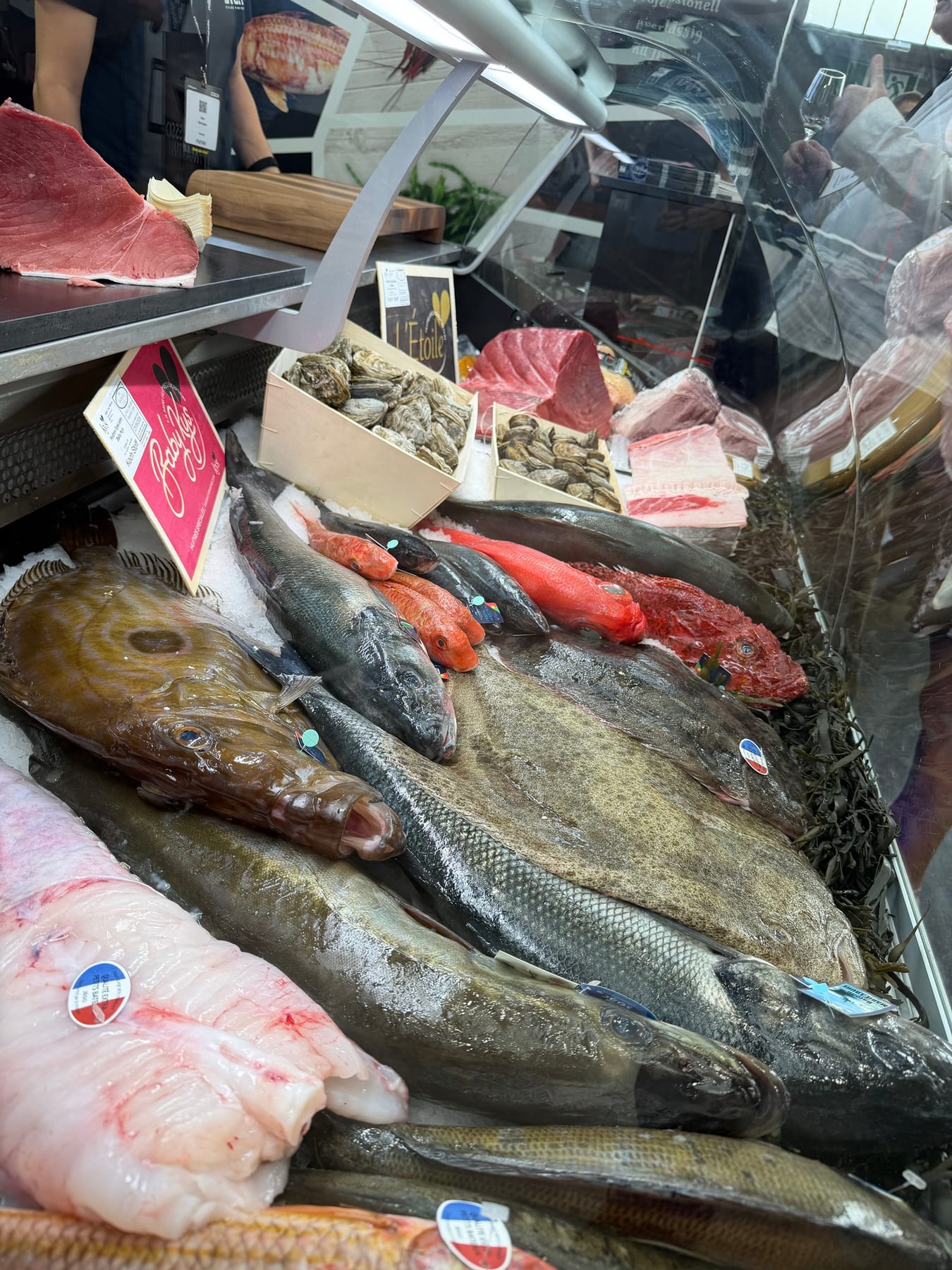 Fischtheke mit Steinbutt, Wolfsbarsch, Rotbarben, Austern und Venusmuscheln auf Eis